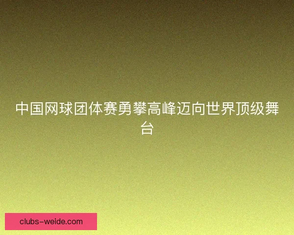 中国网球团体赛勇攀高峰迈向世界顶级舞台